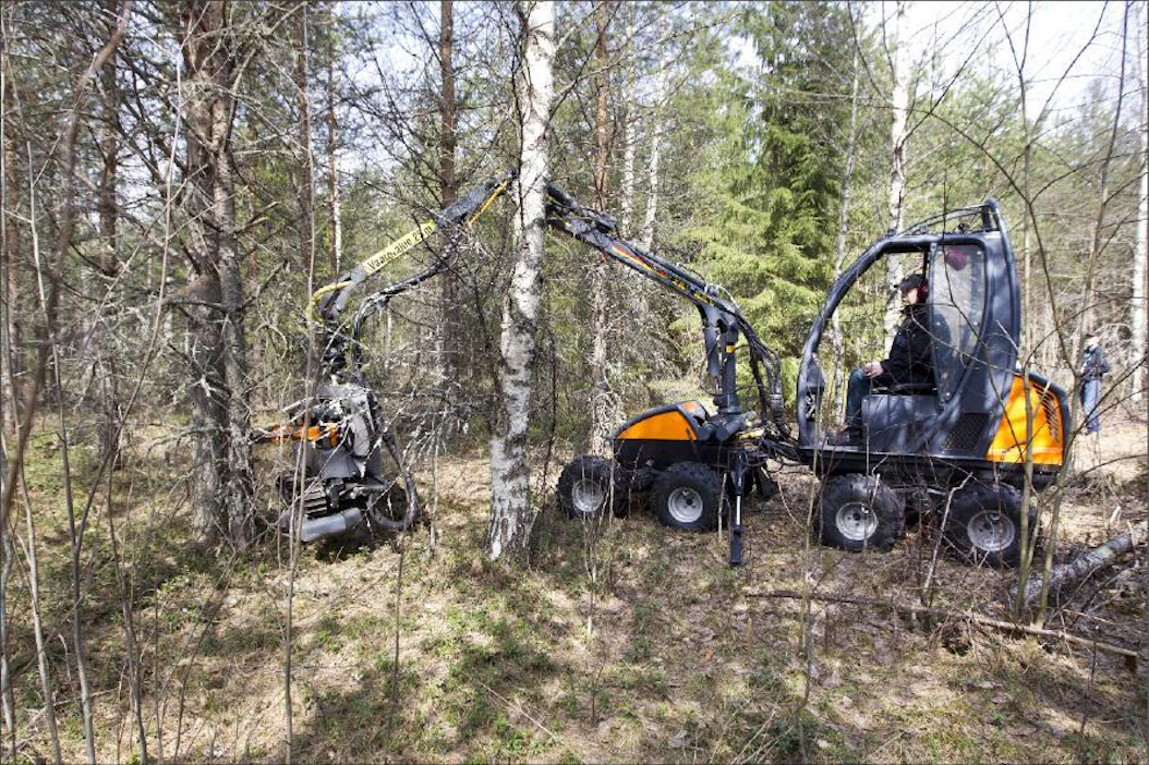 Pienmetsäkoneen rankapuukoura kaataa energiapuuta leimikossa Hämeenkoskella. Markku Vuorikari