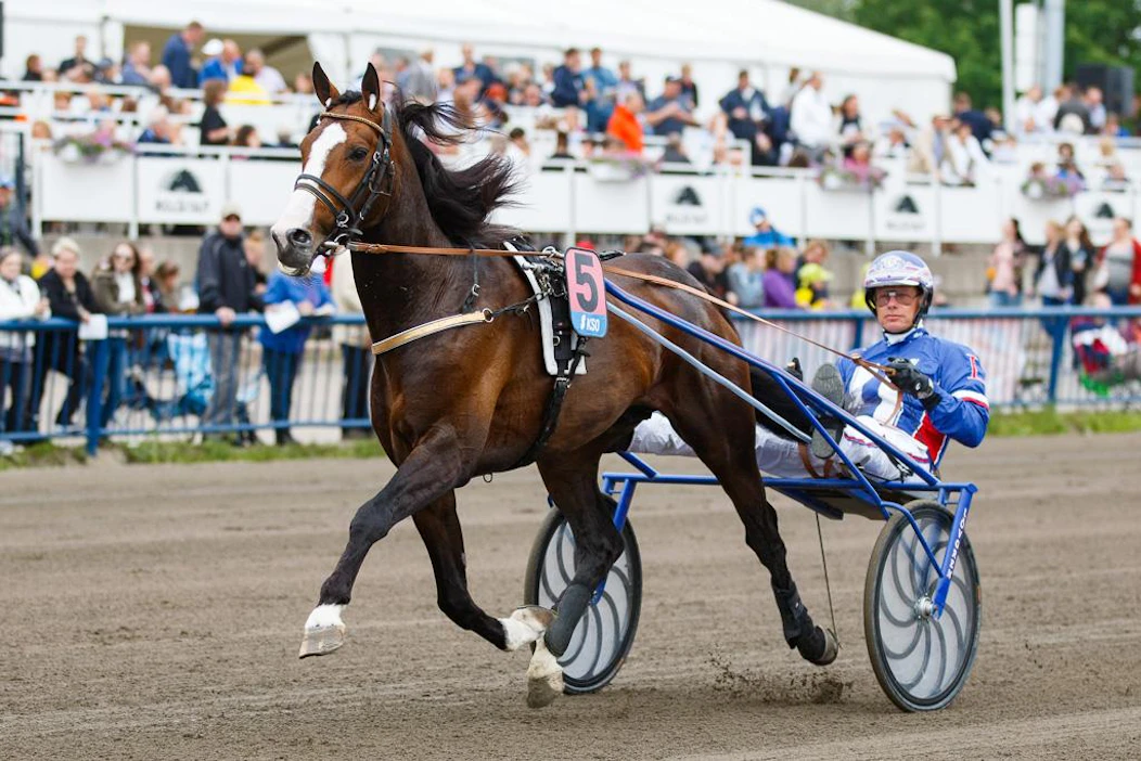 Racing Mange liiteli Kymi GP:n voittoon vuonna 2019 todella vaativan juoksunkulun jälkeen. Jägersrossa sillä on loistava sauma napata jo vuoden toinen täysosuma.