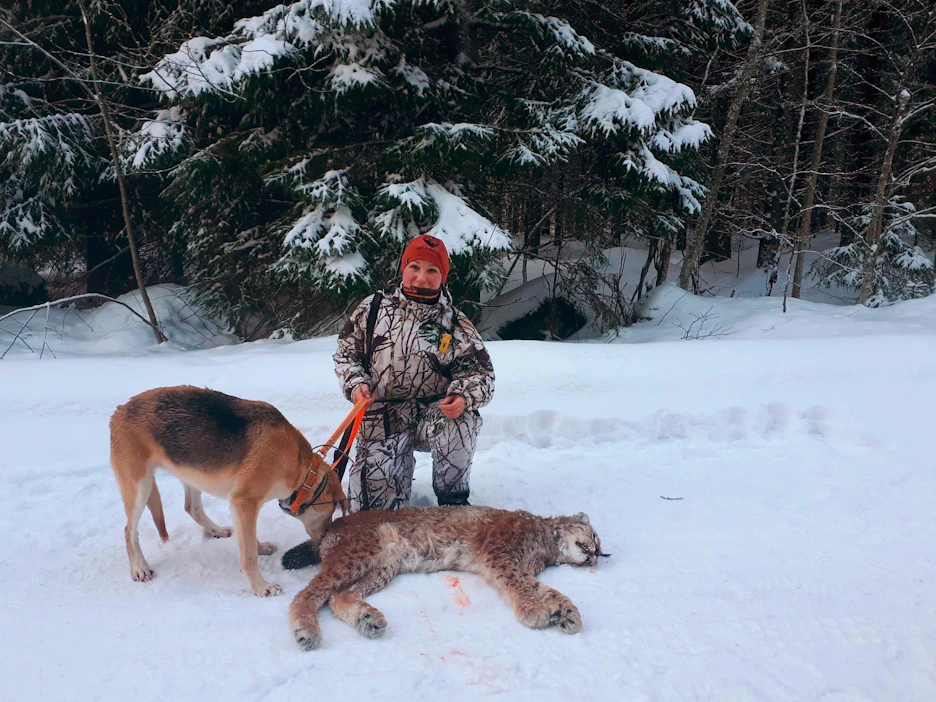 Eveliina Valliston ampuma ilves painoi yli 22 kiloa. Venäjänajokoira Natjalle ilves oli kolmas.
