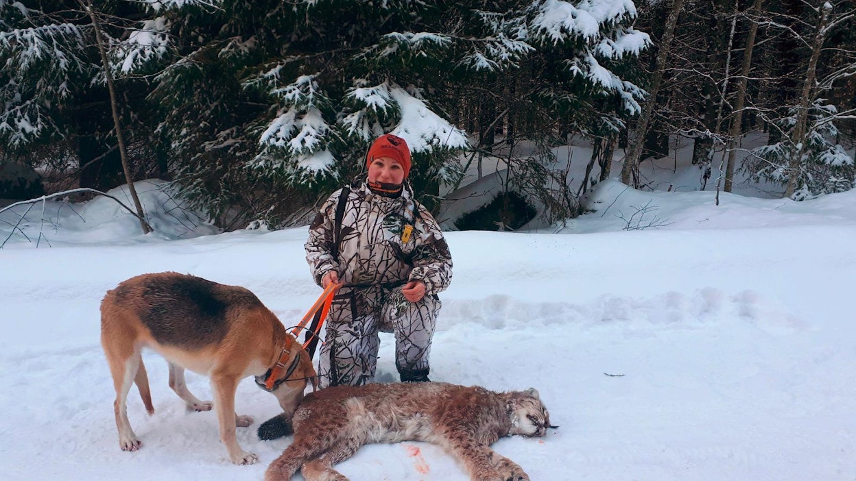 Eveliina Valliston ampuma ilves painoi yli 22 kiloa. Venäjänajokoira Natjalle ilves oli kolmas.