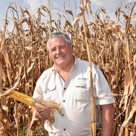 Luc Smalle Etelä-Afrikan Gautengista odottaa maissista yli 10 000 kilon hehtaarisatoa. Tilalla on oma rehutehdas, jossa koko 1 500 hehtaarin maissisato käytetään. Tilalla käytettävät lajikkeet ovat geenimuunneltuja.