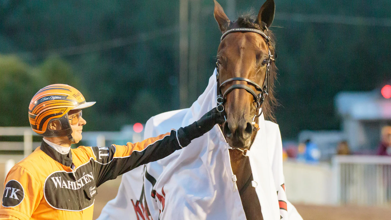 Siniverinen amerikkalaissalama Promptus avaa tänään kautensa Teivon GLi Grand Prix -karsinnoissa. Hanna Lepistön valmennettavan ohjissa nähdään Tommi Kylliäinen.