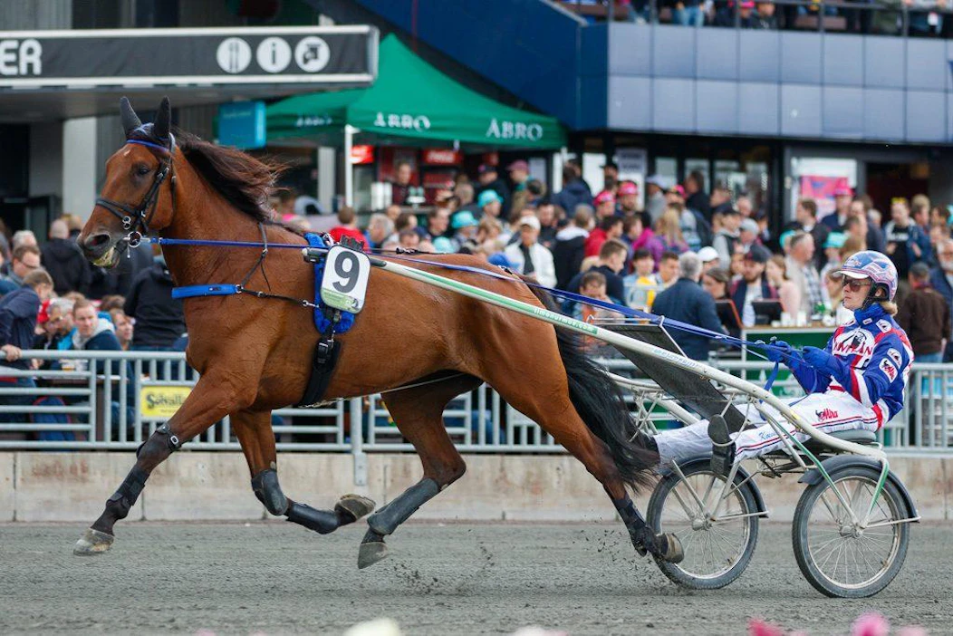Olli Koivunen ajoi EL Fitzgeraldia Elitloppet-viikonloppuna. Suur-Hollolan alkuerässä Timo Nurmoksen valmentaman tamman rattaille istuu Jorma Kontio.