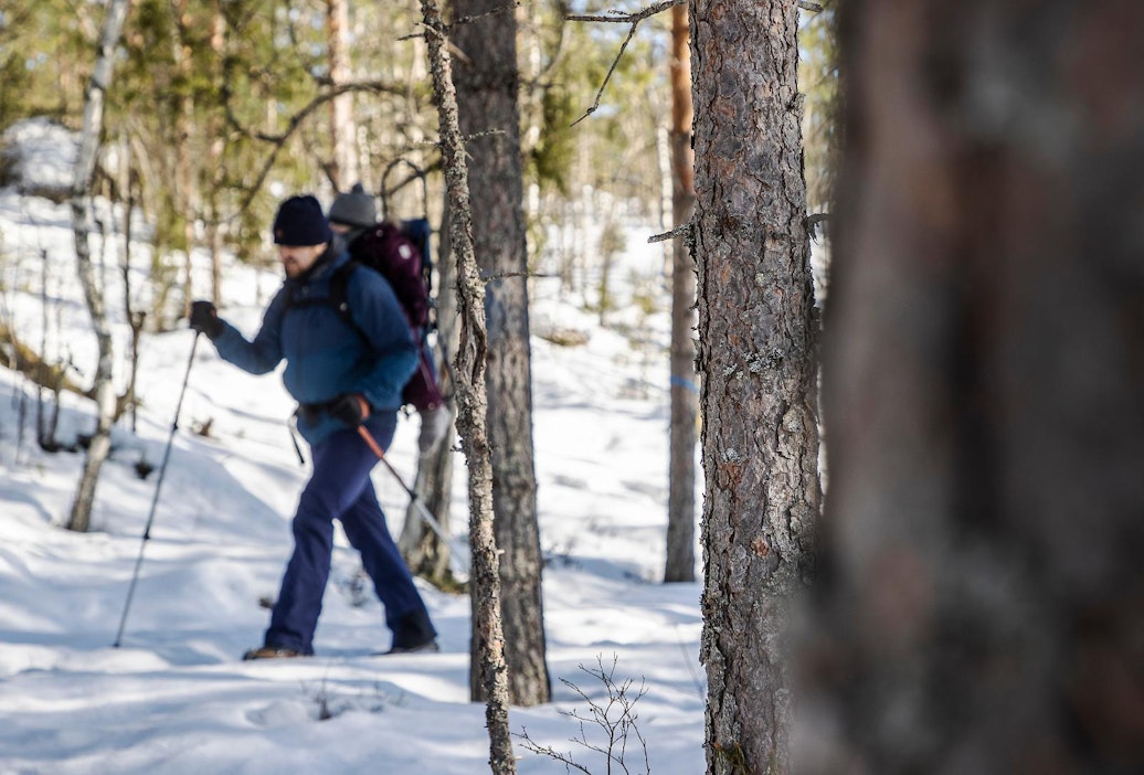 Hyvät reittimerkinnät ohjaavat kulkua poluille muualta metsästä.