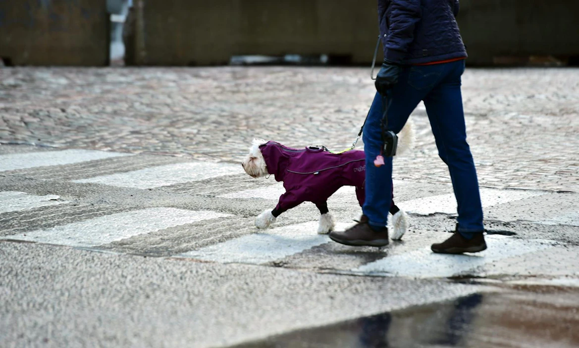 Etelässä pisin pakkasjakso ja myös terminen talvi ajoittuivat vasta helmi-maaliskuun vaihteeseen. LEHTIKUVA / EMMI KORHONEN.