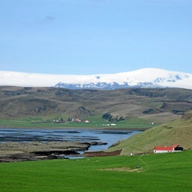Maatalouden osuus Islannin bruttokansantuotteesta on vajaa kuusi prosenttia.
