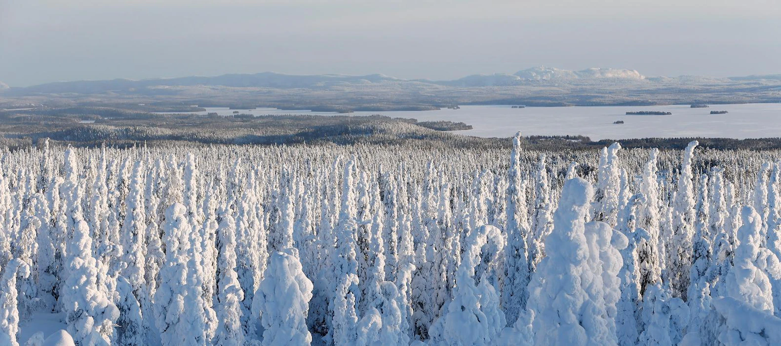 Rukan ja Pyhä rinnetoiminnoista vastaava Rukakeskus on yksi kilpailun viidestä finalistista.