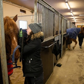 Laura Nurkka opiskelee Salpauksessa eläintenhoitajaksi ja suorittaa sen osana myos hevostalouden opintoja. Perustaitoja opetellaan sekä Jokimaalla koulun omalla tallilla että alan yrityksissä. Käytännön työtä ohjaa Jokimaalla neljä tallimestaria.