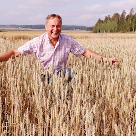 Kevätvehnän lannoituskoe on Luken pellolla, vasemmalla BioA:n ja oikealla Yaran lannoitteella kasvanut, näyttää toimitusjohtaja Jari Järvinen BioA:lta.