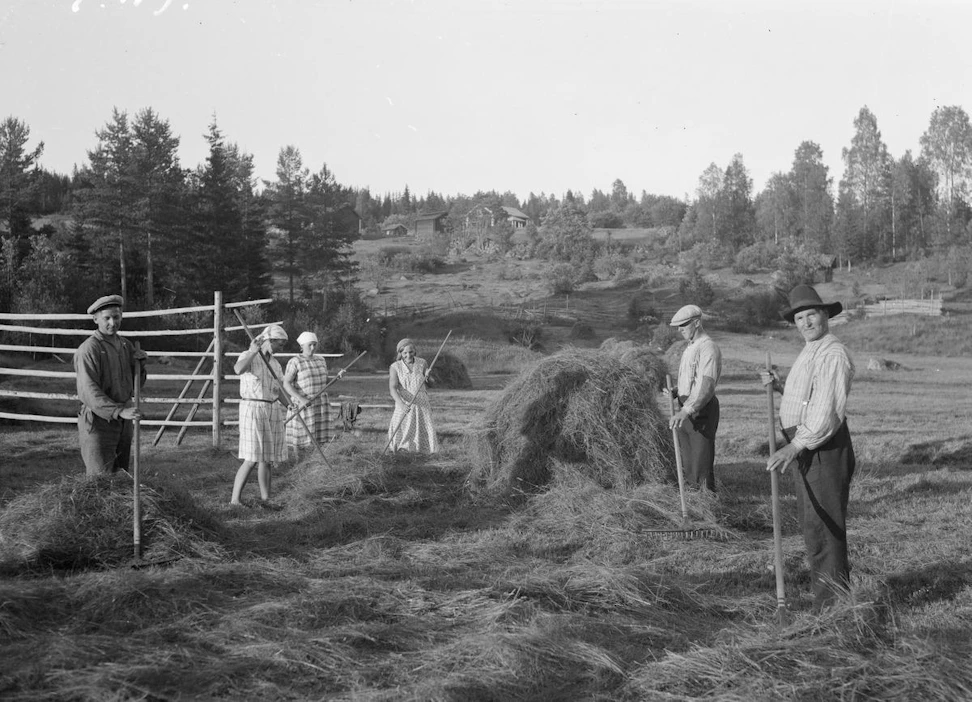Metsäsuomalaisia heinänteossa vuonna 1930, paikkana Ruotsin Röjdåfors