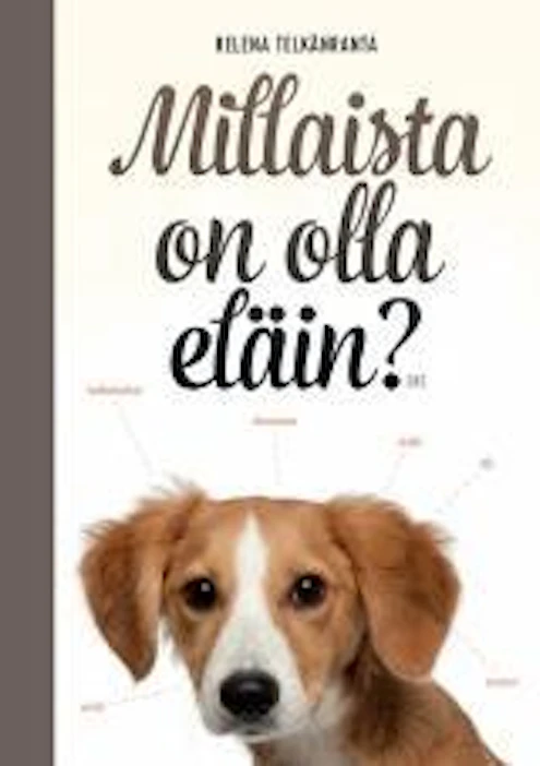 Biologi Helena Telkänrannan kirja eläinten käyttäytymisestä on yksi TietoFinlandian ehdokkaista.
