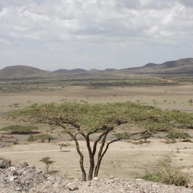Kuivuus ja maankäytön muutokset aiheuttavat suuria määriä hiilipäästöjä Afrikassa.