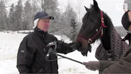 Pekka Korpi ja Birgit Combo lähtevät jahtaamaan illan Toto65-päätöksessä Kolmivuotispokaalin täysosumaa. Vastassa on vuonna 2018 syntyneen ikäluokan eliittiä. Birgit Combo oli 2-vuotiaana SHKL Hevosenomistajapokaalissa toinen ja Kasvattajakruunussa kolmas.
