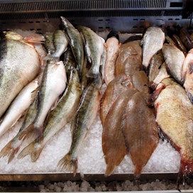 Kalan ostamisen esteeksi mainitaan korkean hinnan ja saatavuuden lisäksi kalan hankala käsittely.