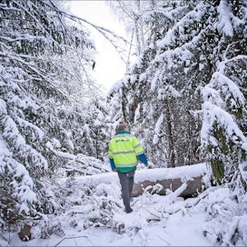 Kimmo Haimi Myrskyt kaatoivat lopella paikoin isojakin puita. Pitkistä sähkökatkoista huolimatta henkilövahingoilta kuitenkin vältyttiin. Fortumin käyttöpäällikkö Jörgen Dahlqvist tutkii myrskytuhoja.