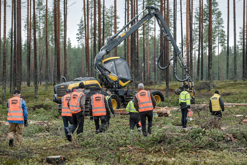 Juhlasavotan ohjelmassa Alajärvellä oli lukuisia hakkuunäytöksiä. Kuljettaja pysäytti välillä koneen, jotta hakkuujälkeen päästiin perehtymään kunnolla.