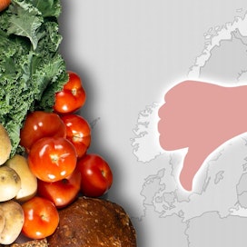Suomalainen ruoka ei kiinnosta kovasti muissa Euroopan maissa.
