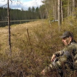 Pentti Linkola perusti aikanaan Luonnonperintösäätiön, jonka avulla on suojeltu tuhansia hehtaareita suomalaista metsää.