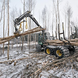 EU rakentaa metsäpolitiikkaa tällä hetkellä parlamentin valiokunnissa. Suomen metsän käytön periaatteet eivät ole kaikille mepeille selviä.