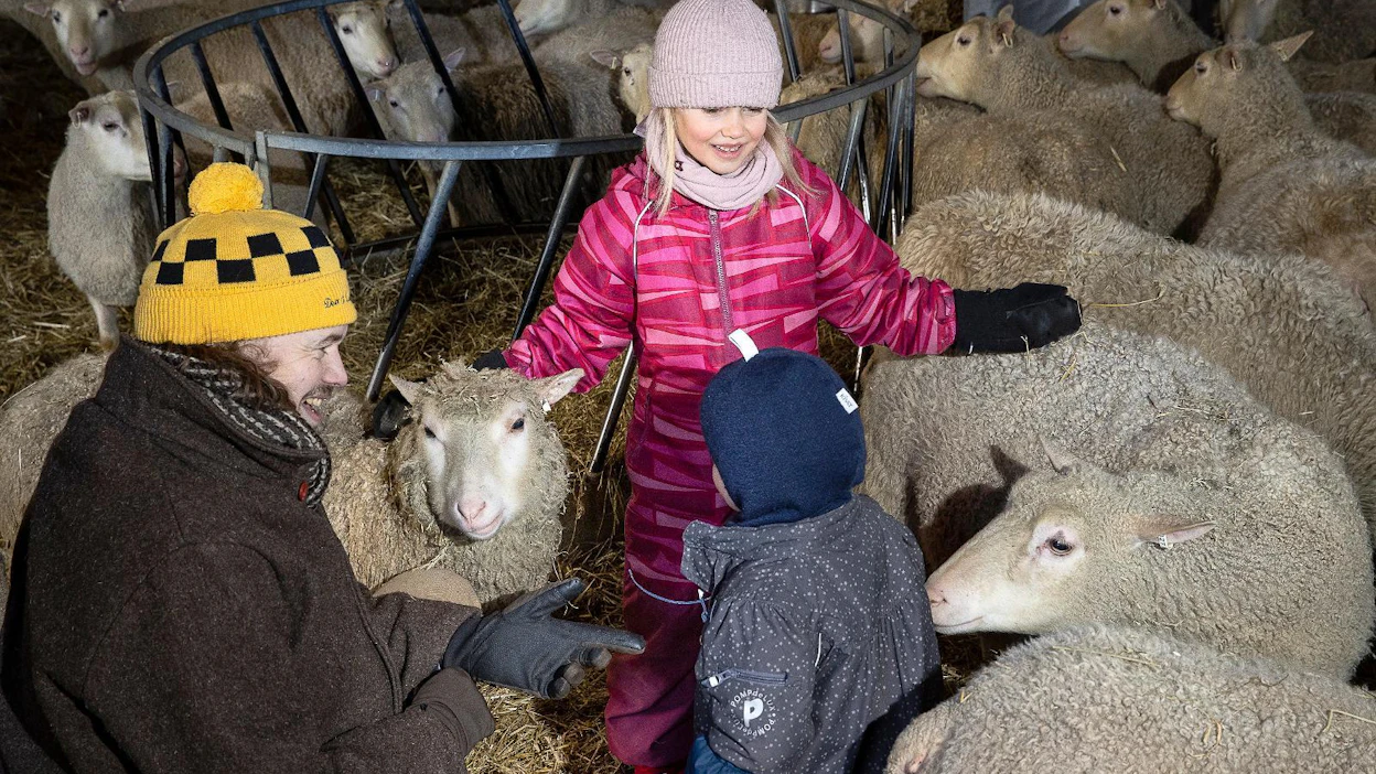 Matleena ja Lilja Airikkala tulevat Ilari-isän kanssa mielellään lampolaan silittelemään uuhia ja odottavat innolla pieniä karitsoja.