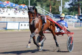 Vitruvio vieraili viime kesänä Suomessa voittaen Kymi GP:n. Jori Turja arvioi, että Mikkelin radalla Alessandro Gocciadoron valmennettava saa selvästi hyötä sisäradan lähtöpaikastaan.