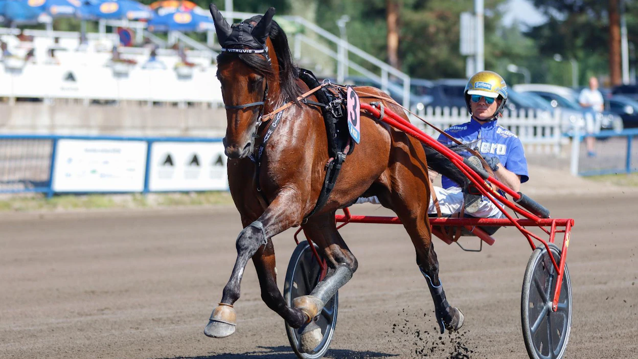 Vitruvio vieraili viime kesänä Suomessa voittaen Kymi GP:n. Jori Turja arvioi, että Mikkelin radalla Alessandro Gocciadoron valmennettava saa selvästi hyötä sisäradan lähtöpaikastaan.