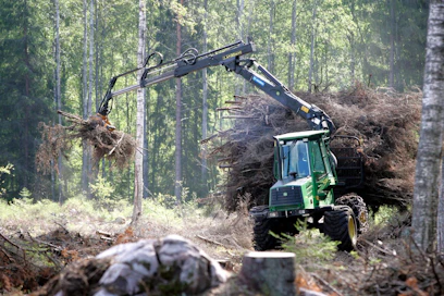 Suomelle puun kestävyykriteerit ovat monia muita EU-maita tärkeämmät, sillä energiapuulla on iso merkitys Suomen ilmastopolitiikassa.