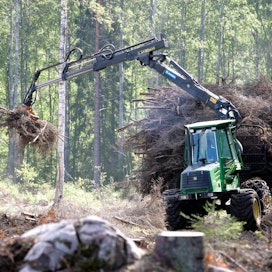 Suomelle puun kestävyykriteerit ovat monia muita EU-maita tärkeämmät, sillä energiapuulla on iso merkitys Suomen ilmastopolitiikassa.