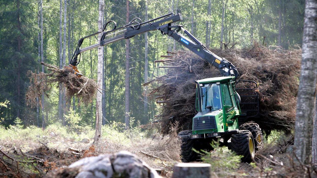 Suomelle puun kestävyykriteerit ovat monia muita EU-maita tärkeämmät, sillä energiapuulla on iso merkitys Suomen ilmastopolitiikassa.