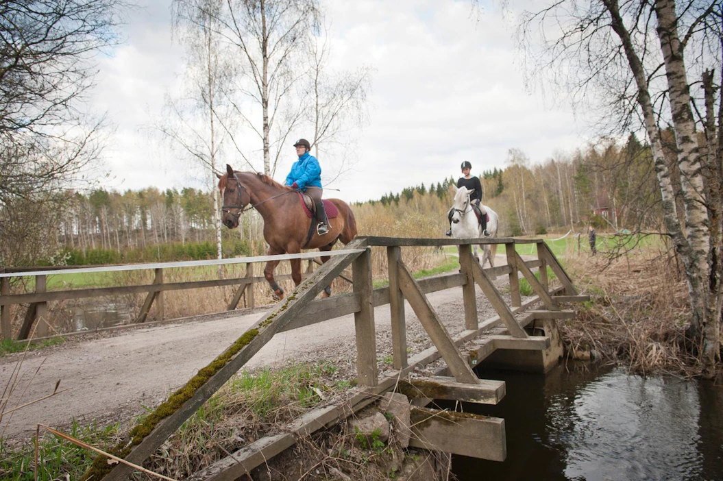 Jos hevoset eivät miellytä tien omistajaa, voi riitaa tulla siitä saako yksityistiellä ratsastaa.