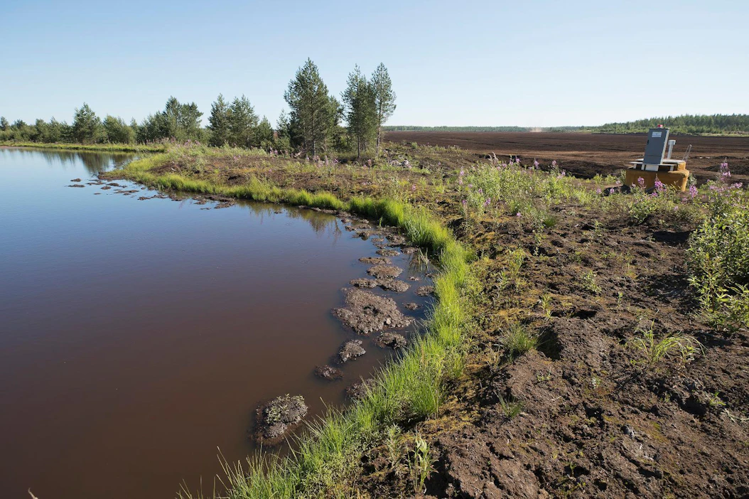 Liejua on järvessä kuin järvessä, turpeennostolla pohjasedimenttien kertymään ei GTK:n laajan tutkimuksen perusteella ole ollut vaikutusta.