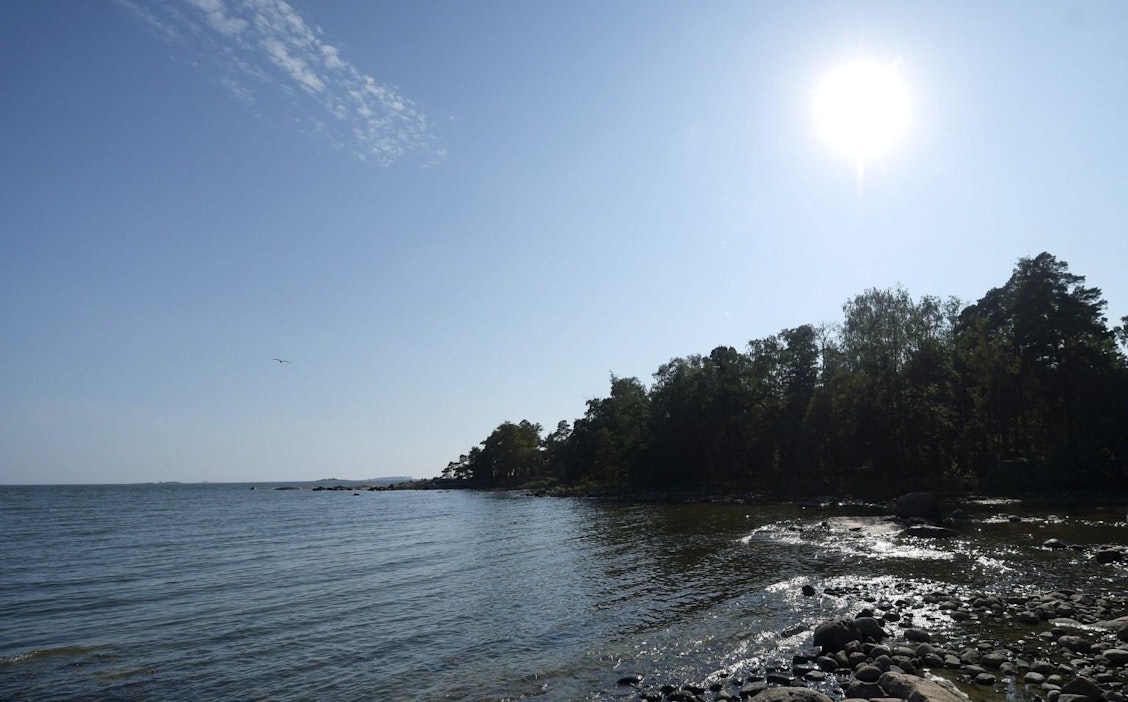 Juhannuksen turmissa kuollut 13, kahdeksan hukkui - Lukemisto - Maaseudun  Tulevaisuus