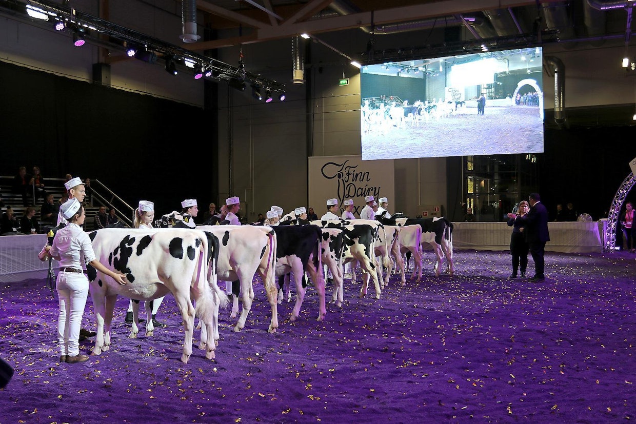 Koneagrian yhteydessä järjestettiin Finn Dairy Expo -karjanäyttely, joka tarjosi silmänruokaa nautakarjayrittäjille. (MT)