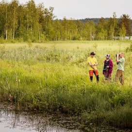 Maanomistaja Kaija Bruunin (keskellä), Markku Hassisen ja Arto Tuovisen yhteistyö perustuu luottamukseen. Moni kosteikko olisi jäänyt perustamatta, jos niihin ei liittyisi metsästysmahdollisuutta, pohtivat miehet.