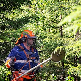 Erkki Tanhuansuu työskentelee metsurina Pohjois-Pirkan metsänhoitoyhdistyksessä. Työt hän aloittaa kesäisin aamu neljän aikaan, kun sää on vielä viileämpi.