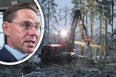 Jyrki Katainen kommentoi maanantaina MT:n haastattelussa, ettei avohakkuissa ole hänen mielestään järkeä.