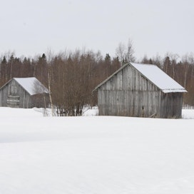 Talviseuranta-kampanjan painopiste on tänä vuonna Uudellamaalla, mutta havainnot kaikkialta Suomesta ovat tervetulleita.