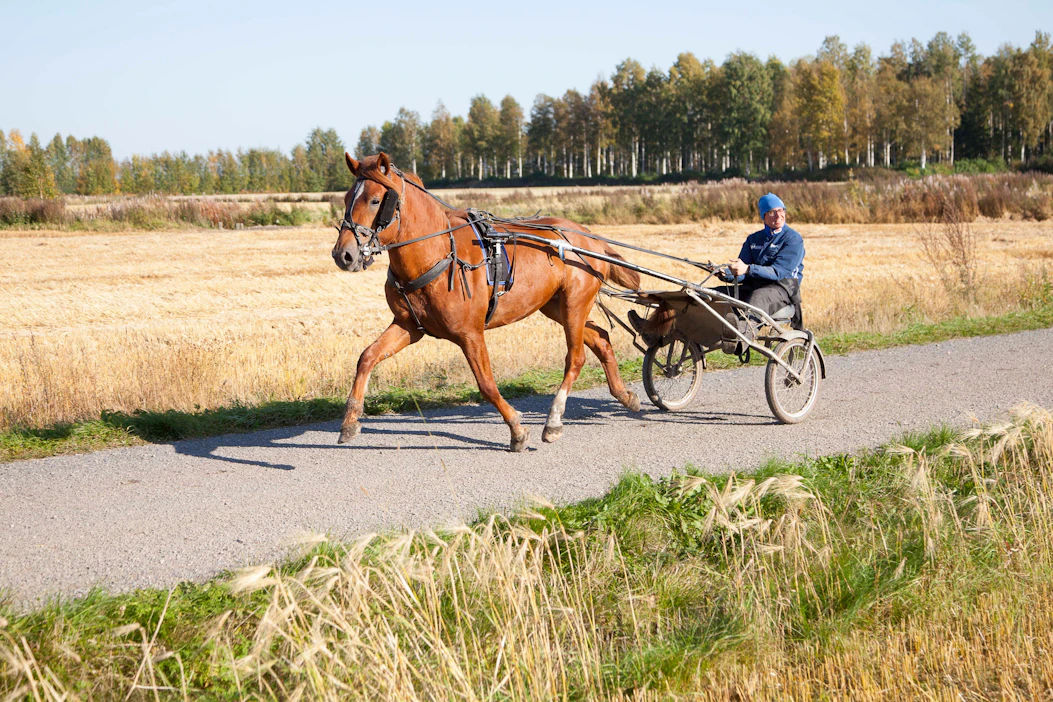 Ropertto treeneissä kotimaisemissa 2-vuotiaana valmentajansa Tommi Ala-Nikkolan kanssa.