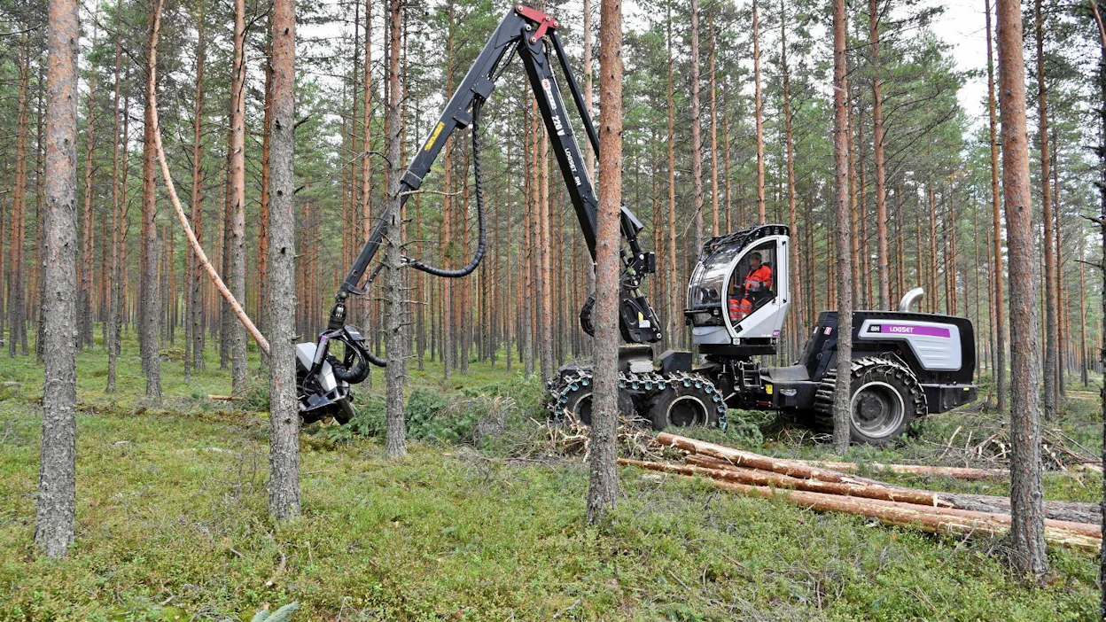 Kari Virtasen kuusipyöräinen Logset kulkee ketterästi ja hiljaisesti harvennushakkuulla Hyvinkään Erkylässä.