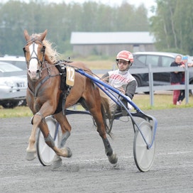 Stallone voitti viime vuonna Ruunaruhtinas-kilpailun Ylivieskassa. Valmentaja Ossi Nurmosen poika Iikka Nurmonen ohjasti hevosta tuolloin.