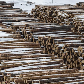 Lakot metsäteollisuudessa alkoivat maanantaina. Tukkeja odotti sahalinjalle siirtoa myös talvella 2017. LEHTIKUVA / Kimmo Rauatmaa