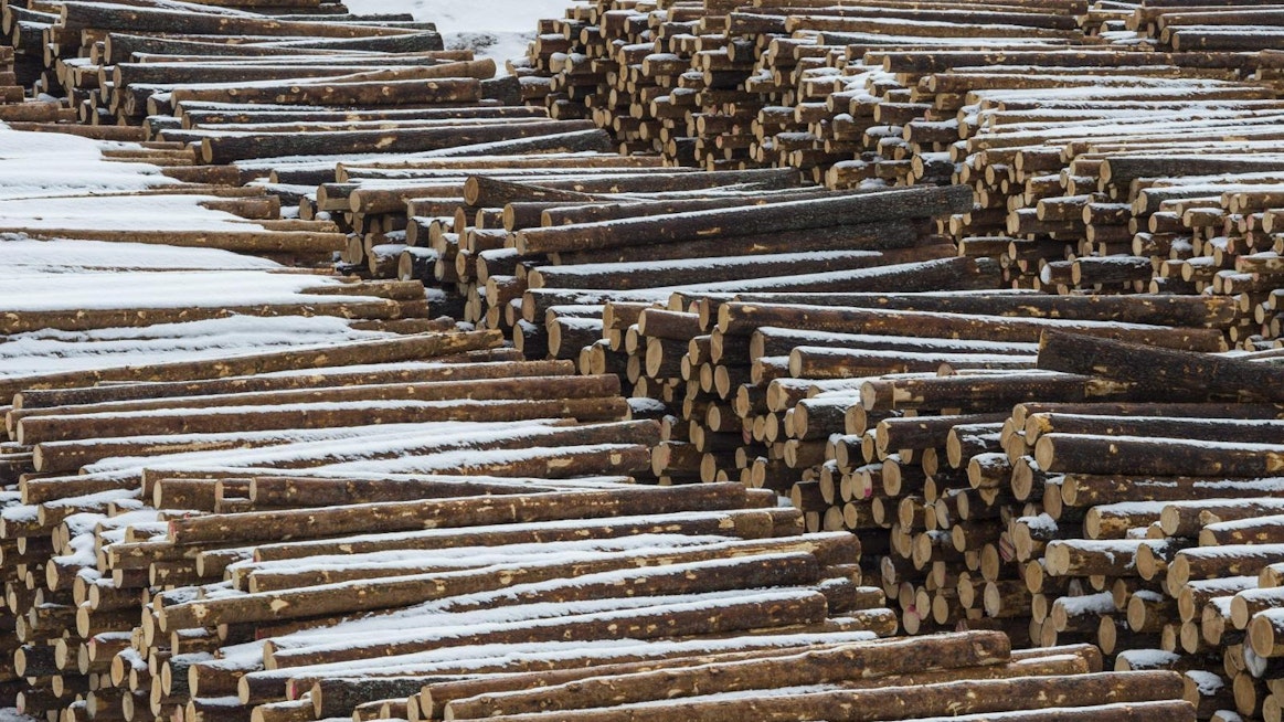 Lakot metsäteollisuudessa alkoivat maanantaina. Tukkeja odotti sahalinjalle siirtoa myös talvella 2017. LEHTIKUVA / Kimmo Rauatmaa