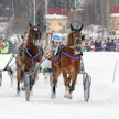Jääravit ovat Kangasniemellä jo perinne. Helmikuun 25. päivä Kangasniemellä on tarkoitus ajaa 10 lähdön jääravit Puulan jäällä.