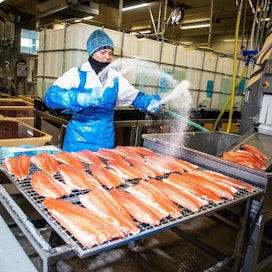 Sastamalassa, Kaskisissa ja Turussa toimiva Kalaneuvos-konserni työllistää yhteensä 181 työntekijää. Yritykset käsittelevät yli 12 miljoonaa kiloa kalaa vuodessa.