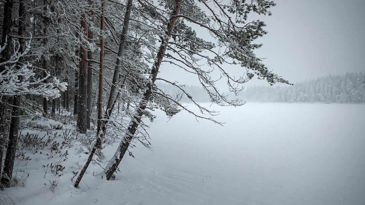 Ohjelma tukee Suomen talousmetsien ulkopuolella toteutettavia luonnon monimuotoisuutta edistäviä hankkeita.
