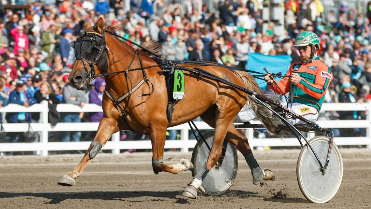 Nouseeko Antti Tupamäen valmentama ja ohjastama ja Christer Sandholmin omistama ja kasvattama Hetviina tammojen hallitsijaksi? Ravivaltakunnan kuninkaalliset ovat selvillä sunnuntain saapuessa iltaan.