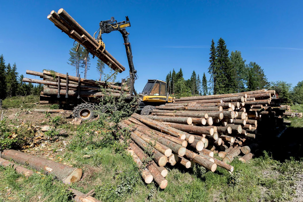 Teollisuuspuun hakkuut nousevat viime vuoden reilusta 62 miljoonasta kuutiometristä yli 64 miljoonaan kuutiometriin.