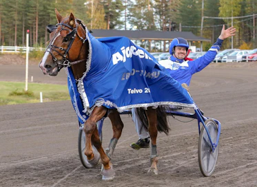 Ville Korjus ei päässyt ajokiellon takia Teivossa ohjastustehtäviin, mutta otti ilon irti Harri Kotilaisen ajettua Välähdyksen helppoon voittoon.