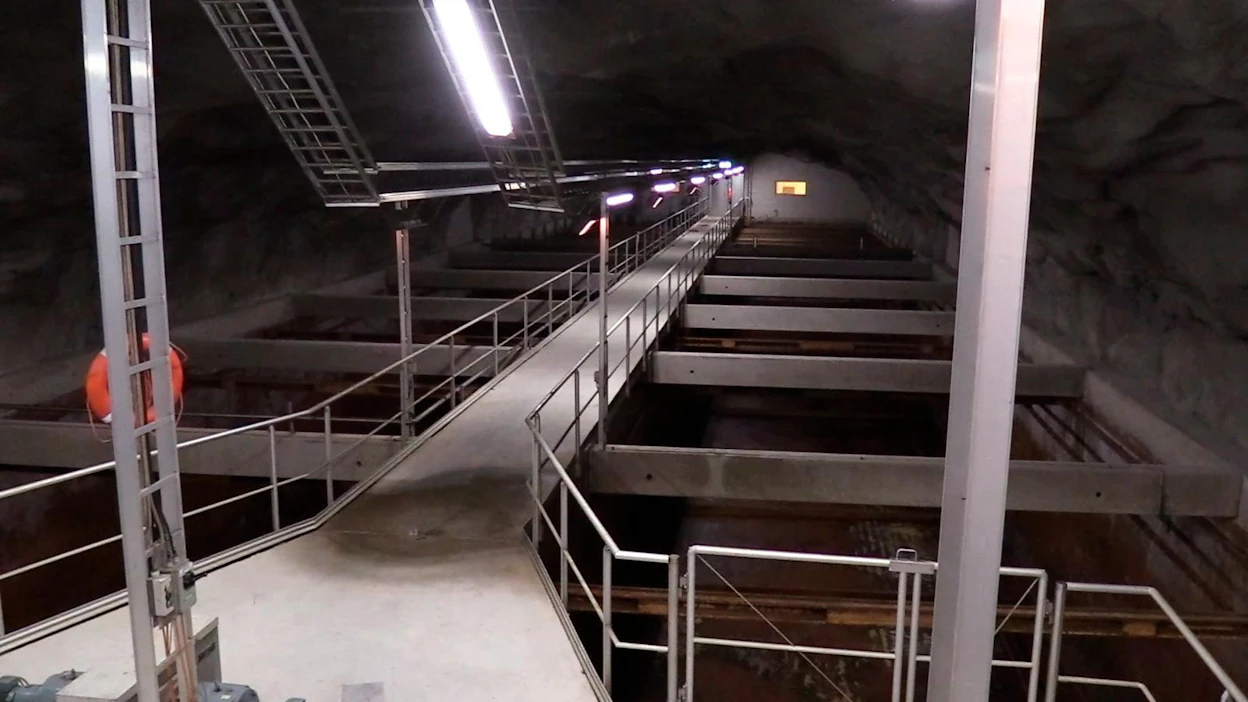 Biologinen typenpoisto ei vieläkään toimi kunnolla Helsingin Viikinmäen jätevedenpuhdistamolla.