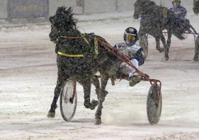 Harmimatic Tinker tyylitteli Vermon loppusuoralla.